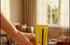 Butter-Flavored Toothpastes