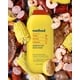 Savory Body Washes Image 1