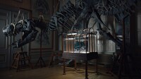 Dinosaur-Inspired Leather Innovations Image 2