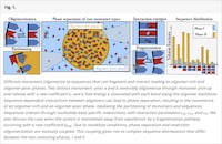 Accessible Data Visualization Practices Image 2