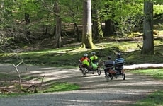 Accessibility-Focused National Park Experiences