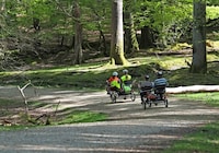 Accessibility-Focused National Park Experiences Image 1