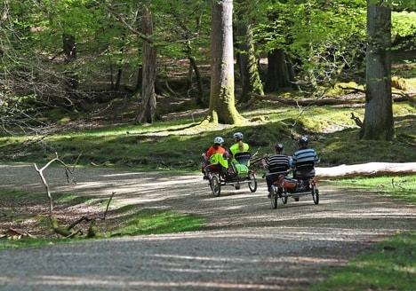 Accessibility-Focused National Park Experiences
