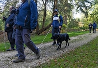 Accessibility-Focused National Park Experiences Image 2