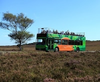 Accessibility-Focused National Park Experiences Image 4