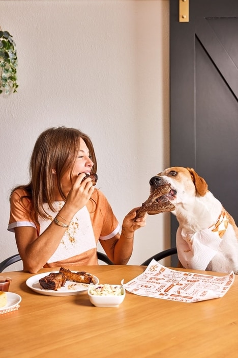 Alternative Dog Chew Designs