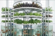 Hydroponic Agricultural Solutions