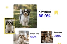 Pet Identification Tools