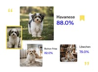 Pet Identification Tools Image 1