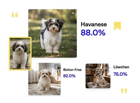 Pet Identification Tools