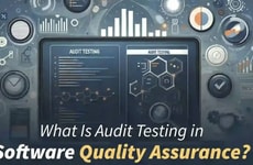 Audit Evaluation Software