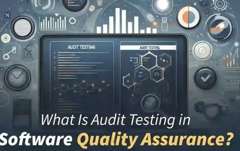 Audit Evaluation Software
