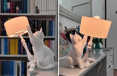 Cat-Like Interactive Lamps