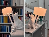 Cat-Like Interactive Lamps Image 1
