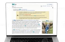 Web Text Highlighters