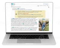 Web Text Highlighters Image 1