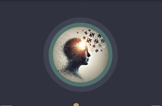 Reflective Experience Decks