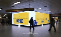 AI-Powered Dog Adoption Initiatives Image 1