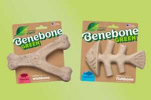 Plant-Based Dog Chews Article Thubnail