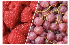 Fruity Lip Oil Flavors