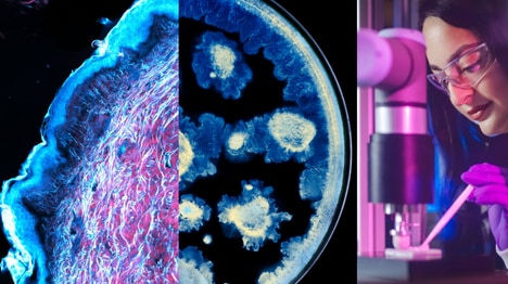 Biotech Beauty Partnerships