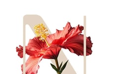 Biotech Anti-Aging Ingredients