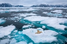 Arctic Research Partnerships