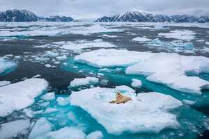 Arctic Research Partnerships Article Thubnail