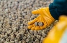 Industrial 3D-Printed Catalysts
