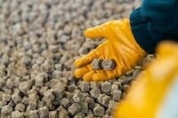 Industrial 3D-Printed Catalysts