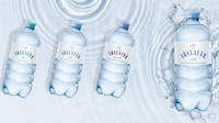 Tethered Bottle Closures