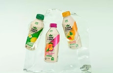 Curated Iced Tea Variety Packs