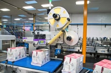 Flagship Sustainability Gains