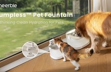 Dog-Friendly Smart Drinking Fountains