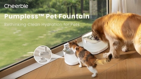 Dog-Friendly Smart Drinking Fountains