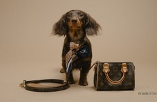 Cost-Alleviating Pet Emergency Partnerships