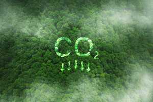 Carbon Removal Projects Article Thubnail