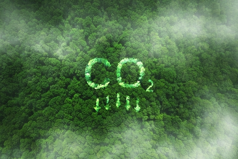 Carbon Removal Projects Article Thubnail