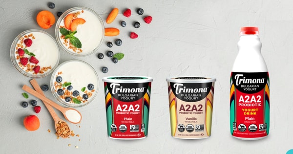 Heritage-Focused Bulgarian Yogurts