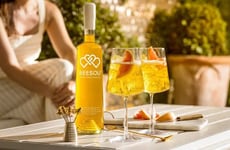 Seasonal Low-Alcohol Cocktails