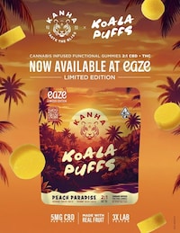 Infused Cbd-Packed Gummies