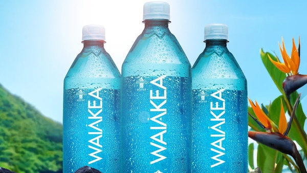 Sustainable Algae-Based Labels