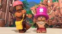 Brick Pirate Animations