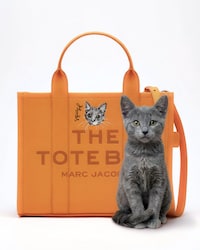 Customizable Pet-Inspired Luxury Accessories Image 1