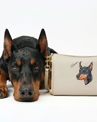 Customizable Pet-Inspired Luxury Accessories Image 2