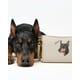 Customizable Pet-Inspired Luxury Accessories Image 2