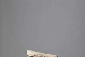 Mycelium Bicycle Seats Article Thubnail