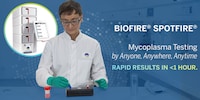 Rapid Mycoplasma Detection Systems