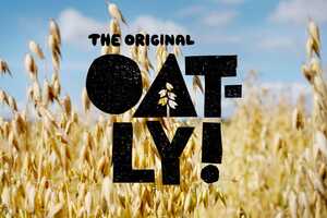 Food Climate Solutions Brands Article Thubnail