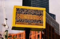 Bee Habitat Billboards Image 1